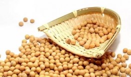 吃瓜小黄豆视频下载免费,免费视频下载攻略大公开