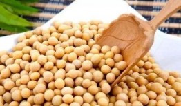 吃瓜小黄豆视频下载免费,免费视频下载攻略大公开