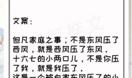 休妻实录吃瓜人免费,揭秘豪门背后的婚姻真相