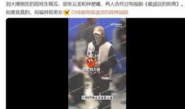 刘大锤今日爆料直播回放,今日爆料精彩瞬间回顾