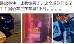 西宁吃瓜最新事件爆料新闻,揭秘最新爆料背后的真相与争议