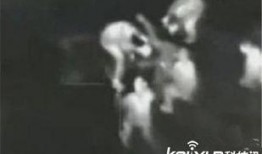 俄罗斯惊人爆料事件视频,揭秘事件背后惊人真相